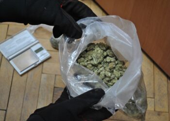 fot. KMP w Zielonej Górze