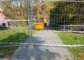 fot. Piotr Kuśnierz