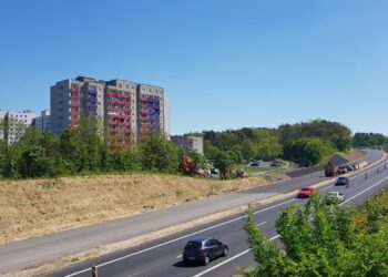 Fot.: Daniel Sawicki