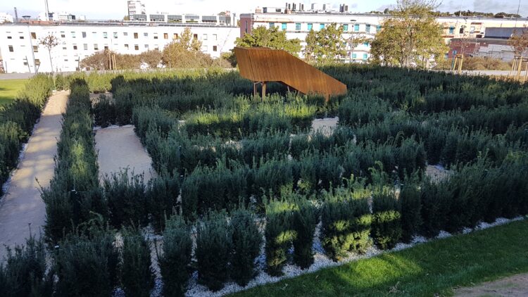 Fot.: Piotr Kuśnierz