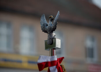 fot. Krzysztof Filmanowicz