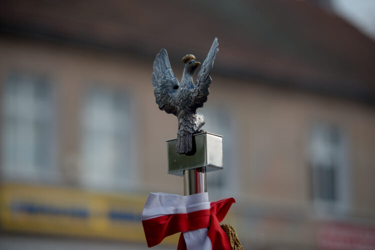 fot. Krzysztof Filmanowicz