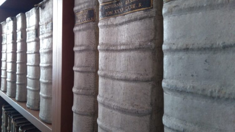 fot. Marta Czechowska