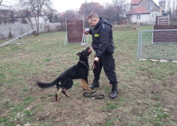 fot. archiwum policji