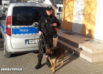 Fot. KMP Zielona Góra