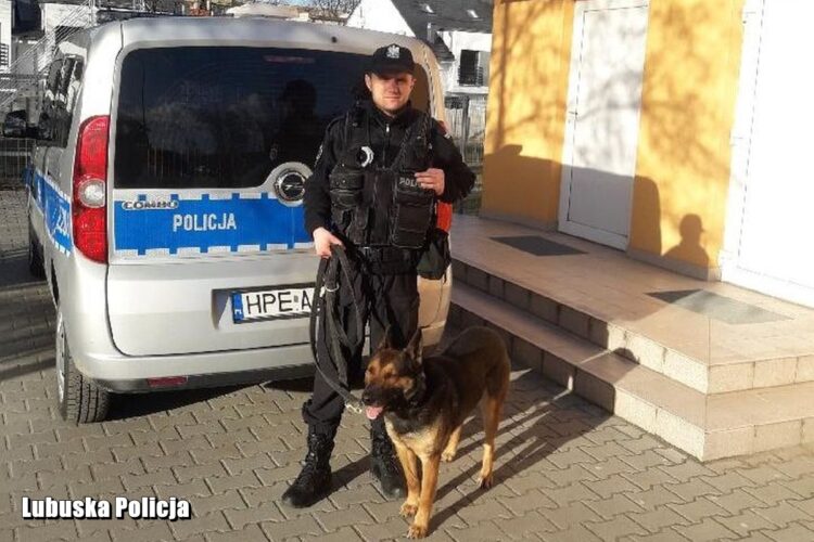 Fot. KMP Zielona Góra