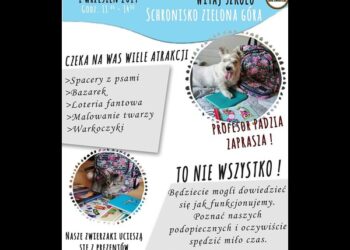 Fot. Schronisko Zielona Góra