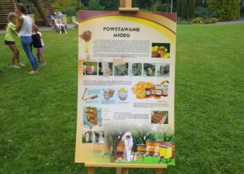 Fot. Zofia Popielecka