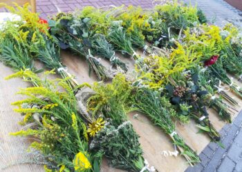 Fot. Bartosz Schaefer