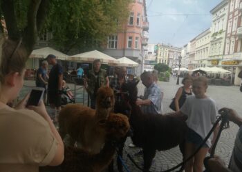 fot. Bartosz Schaefer