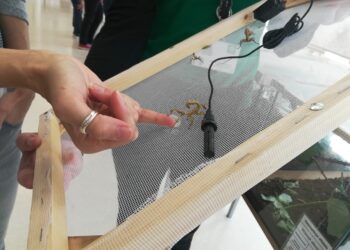 fot. Bartosz Schaefer