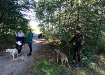 Fot. Bartosz Schaefer