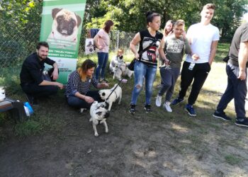 fot. Bartosz Schaefer