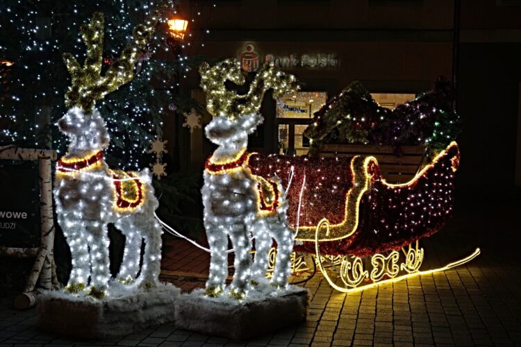 Fot. Marek Poniedziałek