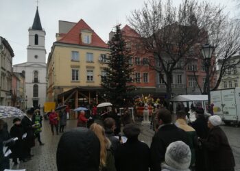 fot. Bartosz Schaefer