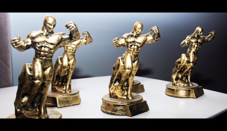 Fot. strona www 12 Solanin Film Festiwal(1)