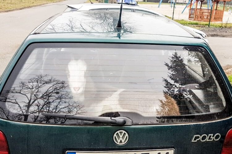 Fot. Lubuska Policja