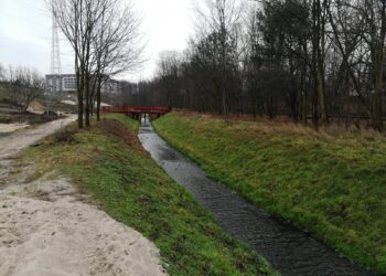 Fot. Bartosz Schaefer