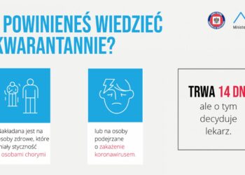 Grafika: Ministerstwo Zdrowia, Główny Inspektorat Sanitarny