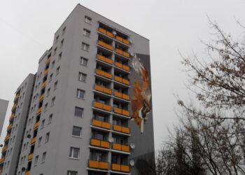 fot. Marta Czechowska