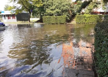 źródło. E. Rymarowicz