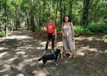 fot. Bartosz Schaefer