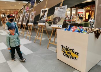 fot. Bartosz Schaefer