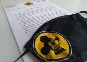 Materiały prasowe / falubaz.com