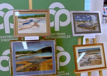 Centrum przyrodnicze wystawa