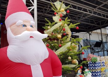 Fot.: P. Ptaszyński