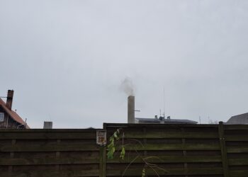 Zielona Góra walczy ze smogiem