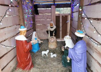 fot. Bartosz Schaefer