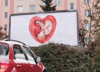 fot. Bartosz Schaefer