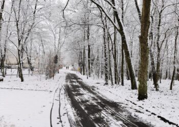 fot. Bartosz Schaefer