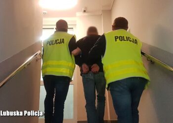 Napaść na 74-latka - trzech mężczyzn w areszcie