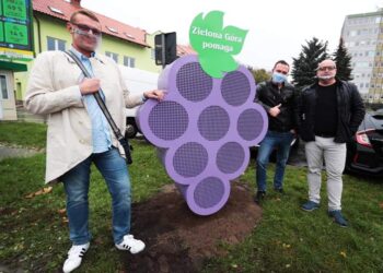 fot. UM Zielona Góra