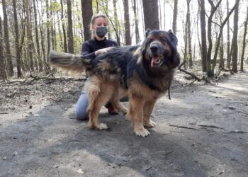 Fot. Zofia Popielecka