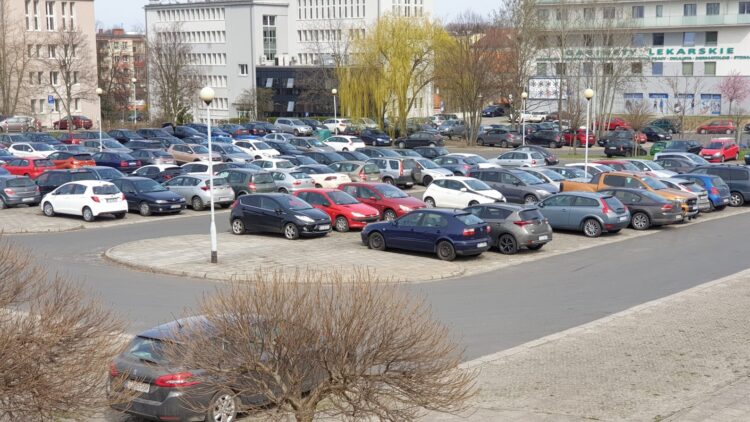 Fot. P. Kuśnierz (parking za Palmiarnią, kwiecień 2021)