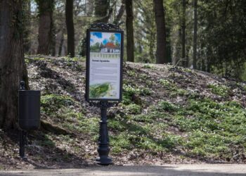 Fot. Michał Adamczewski - Visit Zielona Góra