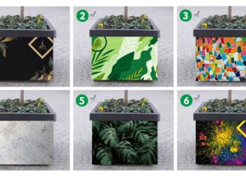 Urząd Miasta Zielona Góra