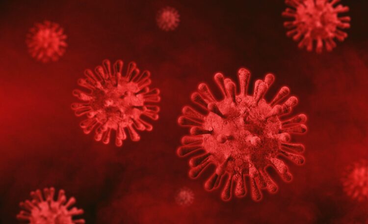 Najwięcej zgonów od początku epidemii epidemia koronawirus covid-19