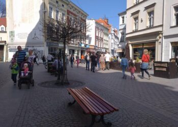 fot. Aleksandra Ferenc