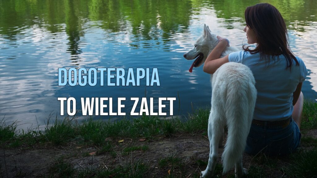 Dogoterapia ma wiele zalet [WIDEO]