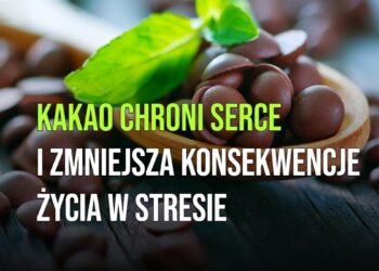 Kakao chroni serce i zmniejsza konsekwencje życia w stresie [WIDEO]