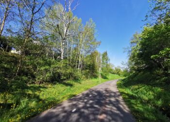 fot. Bartosz Schaefer