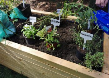 fot. Bartosz Schaefer