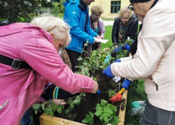 fot. Bartosz Schaefer