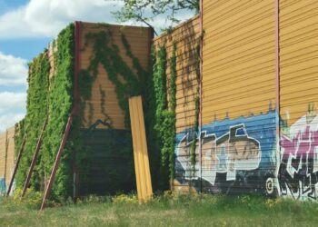 fot. Bartosz Schaefer