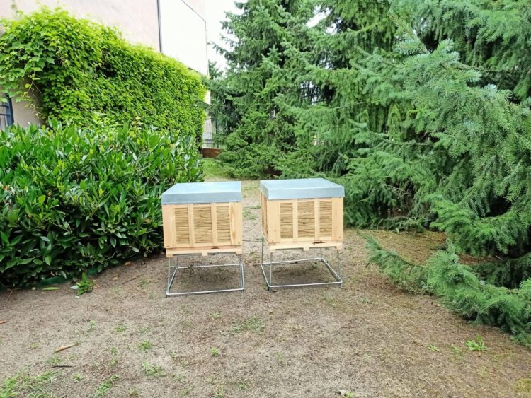 fot. Katarzyna Doszczak