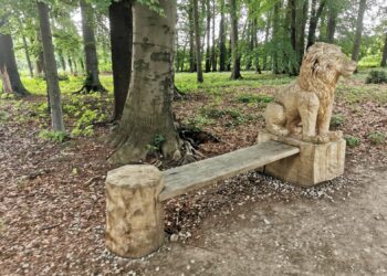 fot. Bartosz Schaefer